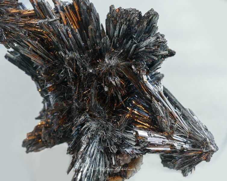 Mineral Makroaufnahme - Antimonit