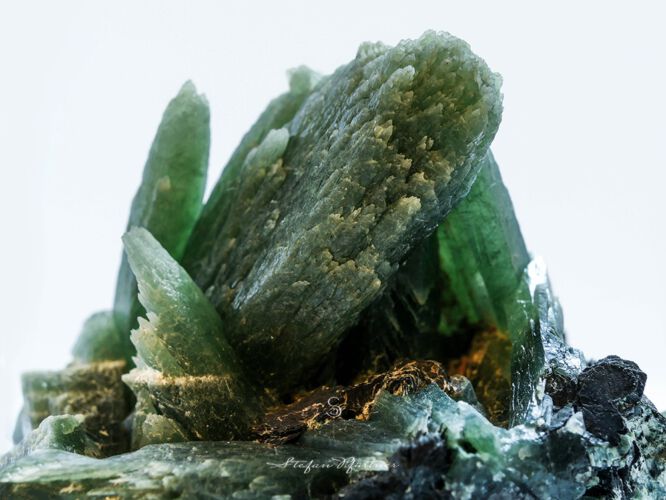 Mineral Makroaufnahme Prasem Quarz