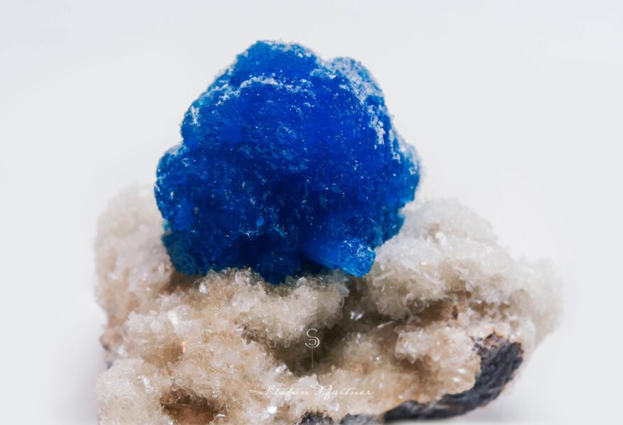 Cavansit Makroaufnahme Panasonic FZ1000 + Raynox Nahlinse