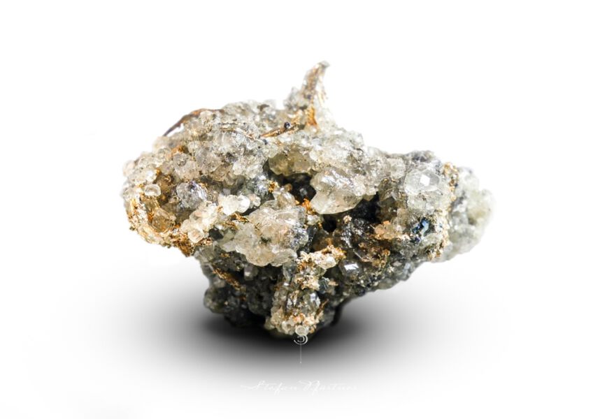 Silberlocke Makroaufnahme Panasonic FZ1000 + Raynox Nahlinse