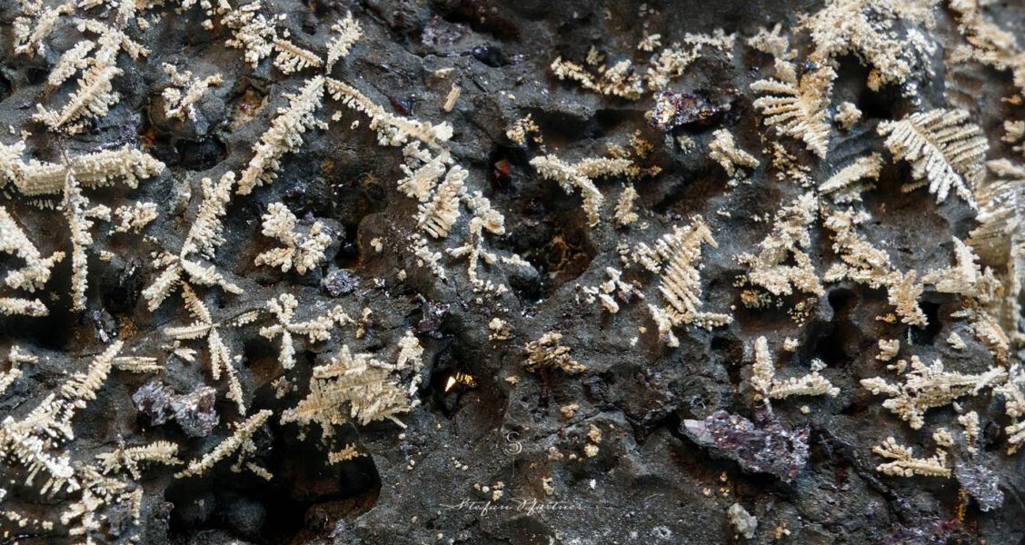 Gediegen Silber Makroaufnahme Panasonic FZ1000 + Raynox Nahlinse