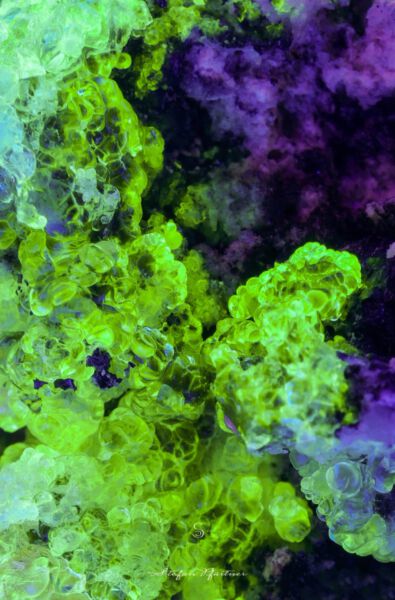 Hyalith Glasopal Makroaufnahme Panasonic FZ1000 + Raynox Nahlinse