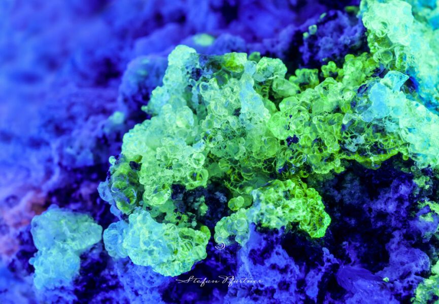 Hyalith Glasopal Makroaufnahme Panasonic FZ1000 + Raynox Nahlinse